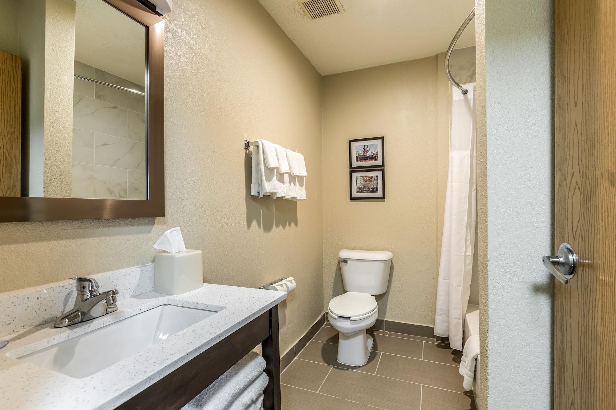 Comfort Inn Downtown Detroit Luaran gambar