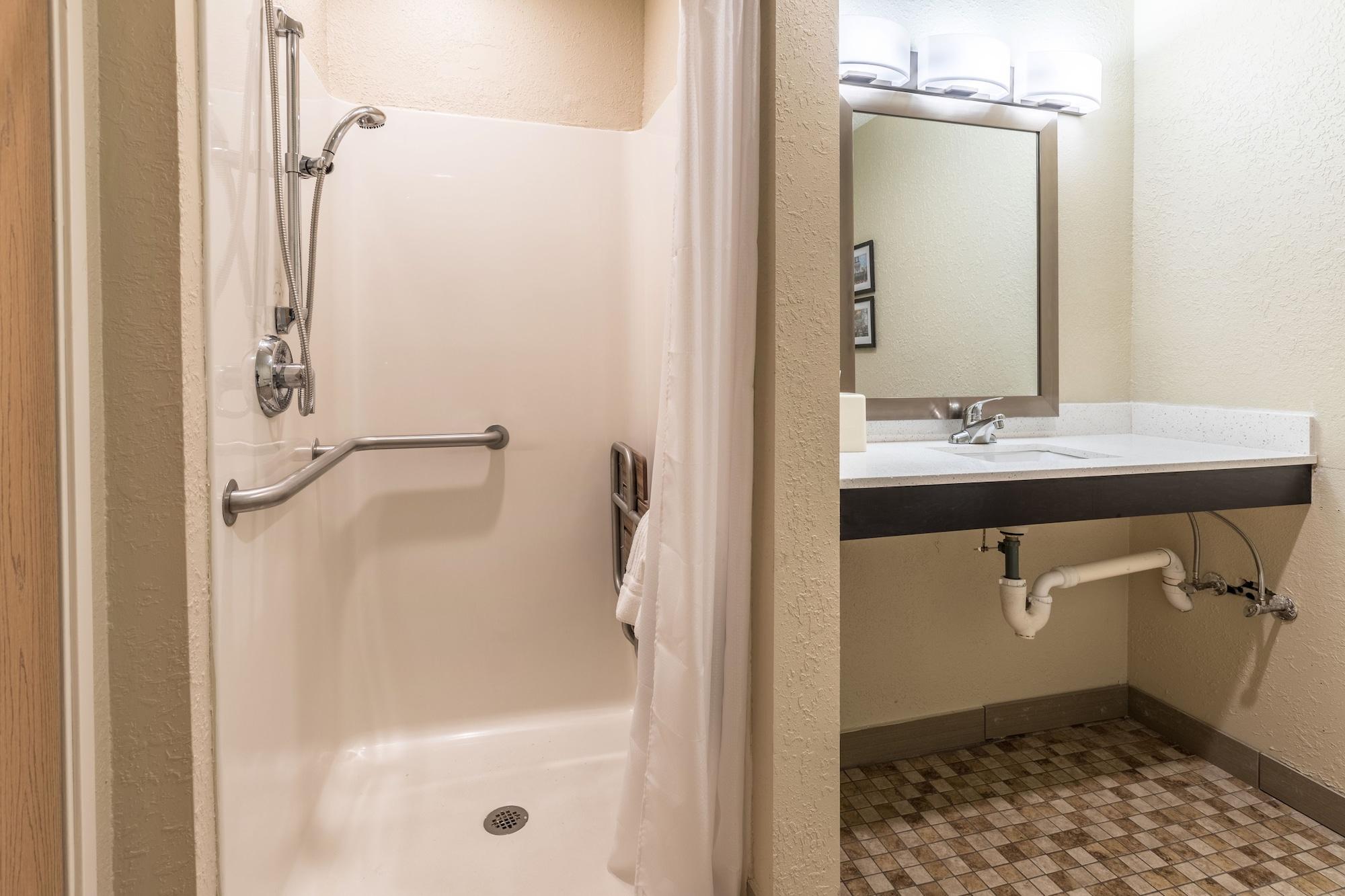 Comfort Inn Downtown Detroit Luaran gambar