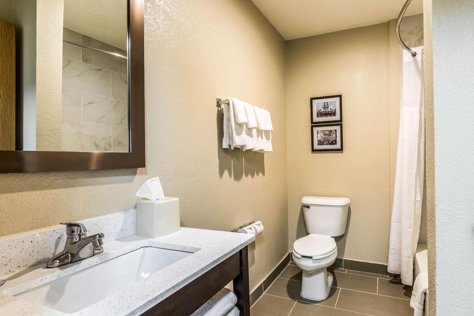 Comfort Inn Downtown Detroit Luaran gambar