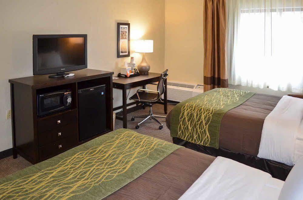 Comfort Inn Downtown Detroit Luaran gambar